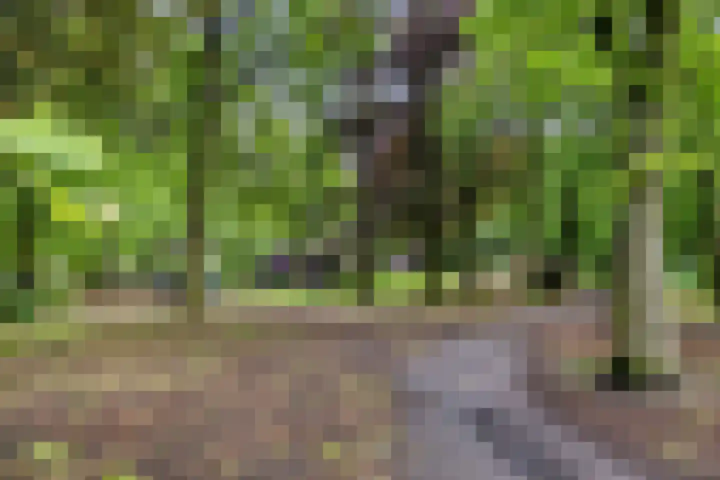 Dorpsstraat 31 Muiderberg thumbnail 48