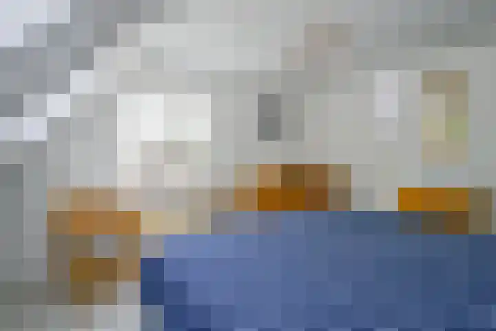 Dorpsstraat 31 Nieuwe Niedorp thumbnail 17