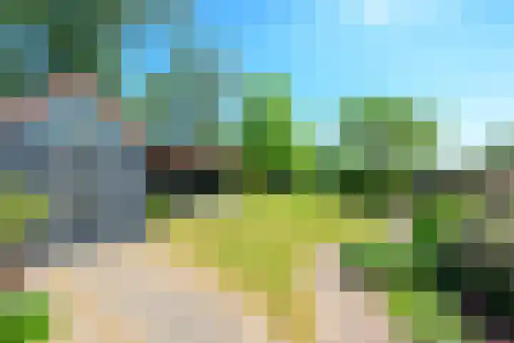 Dorpsstraat 31 Nieuwe Niedorp thumbnail 25
