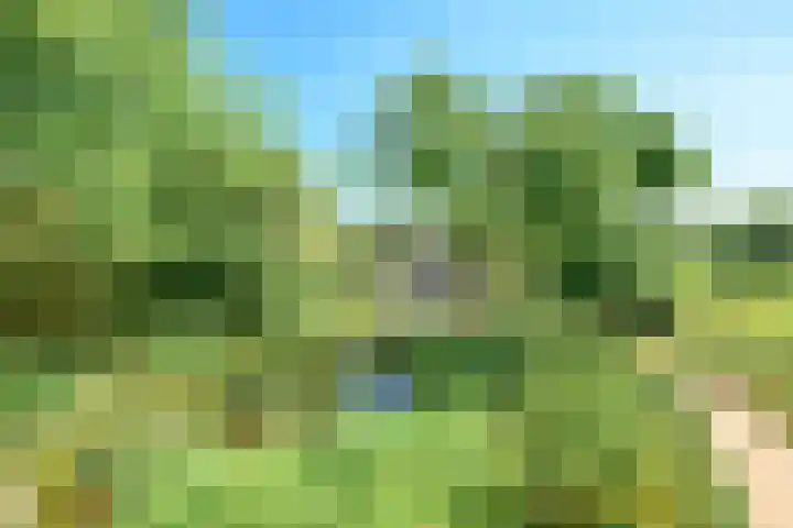 Dorpsstraat 31 Nieuwe Niedorp thumbnail 28