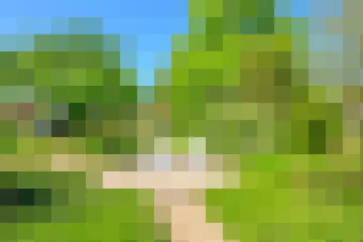 Dorpsstraat 31 Nieuwe Niedorp thumbnail 32