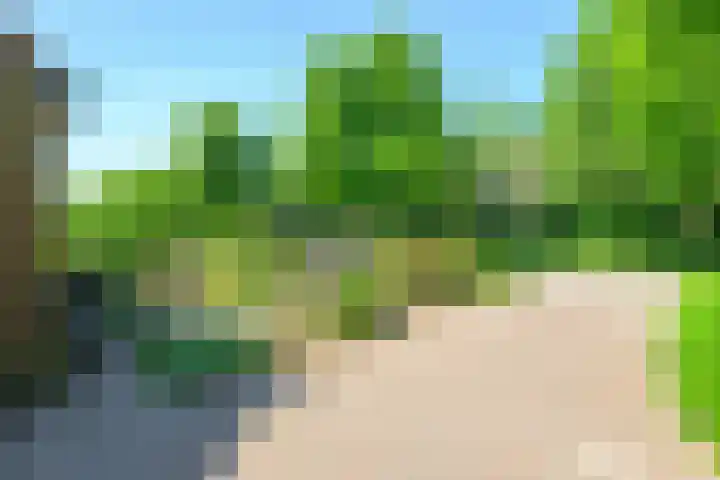 Dorpsstraat 31 Nieuwe Niedorp thumbnail 36