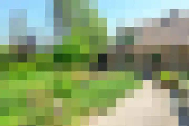 Dorpsstraat 31 Nieuwe Niedorp thumbnail 4
