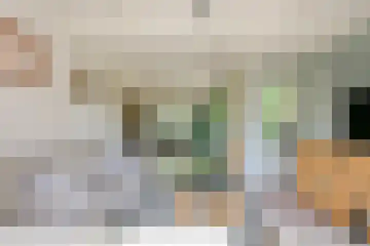 Dorpsstraat 31 Nieuwe Niedorp thumbnail 6