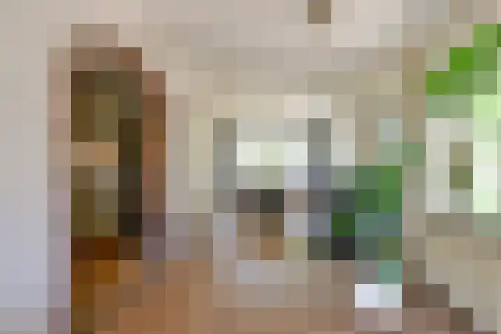 Dorpsstraat 31 Nieuwe Niedorp thumbnail 7