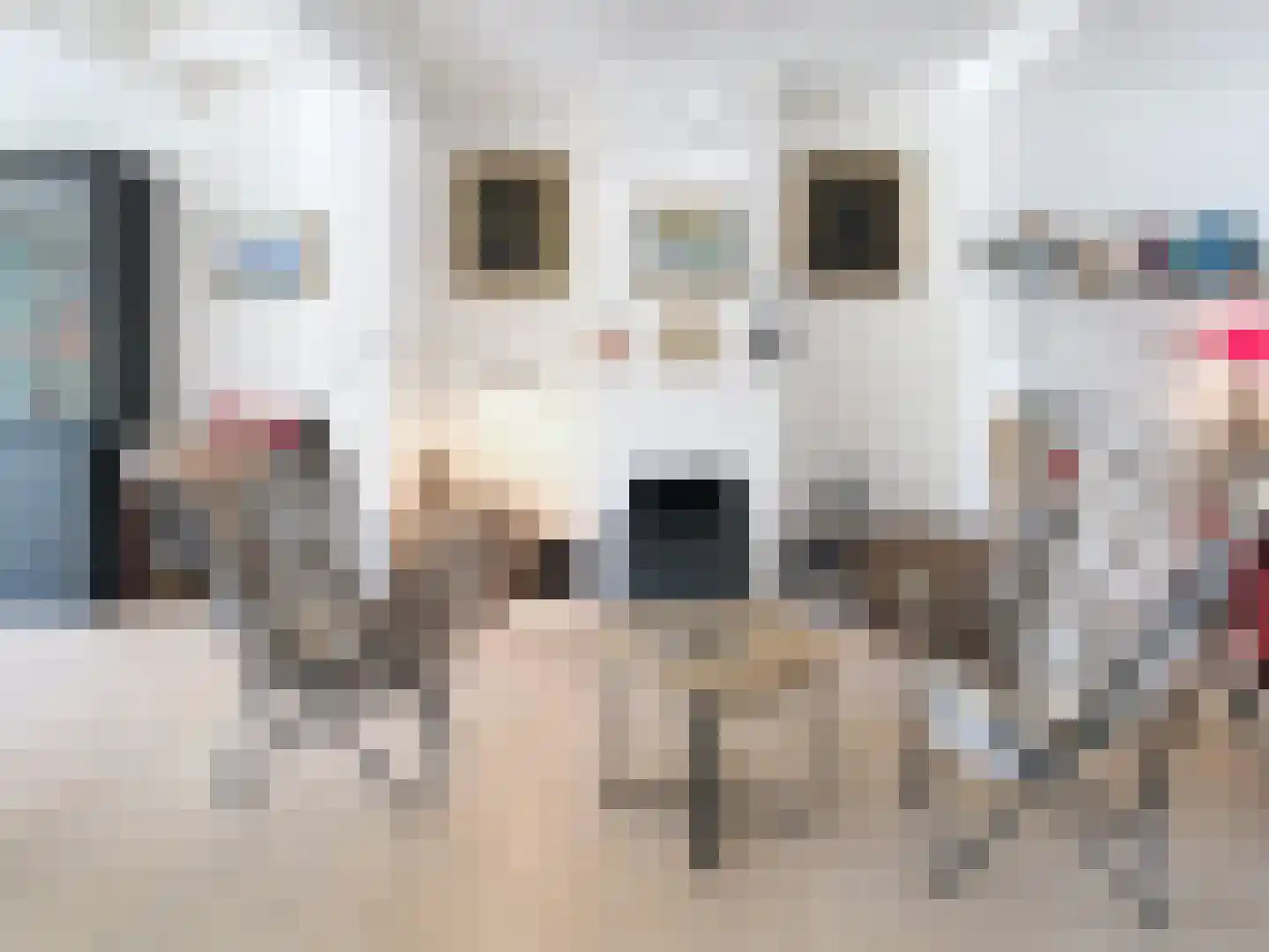 Dorpsstraat 31 Retranchement thumbnail 10