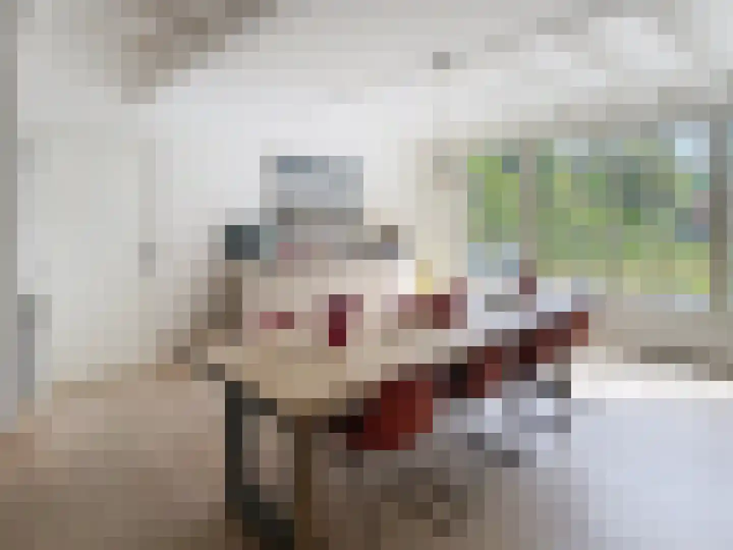 Dorpsstraat 31 Retranchement thumbnail 17