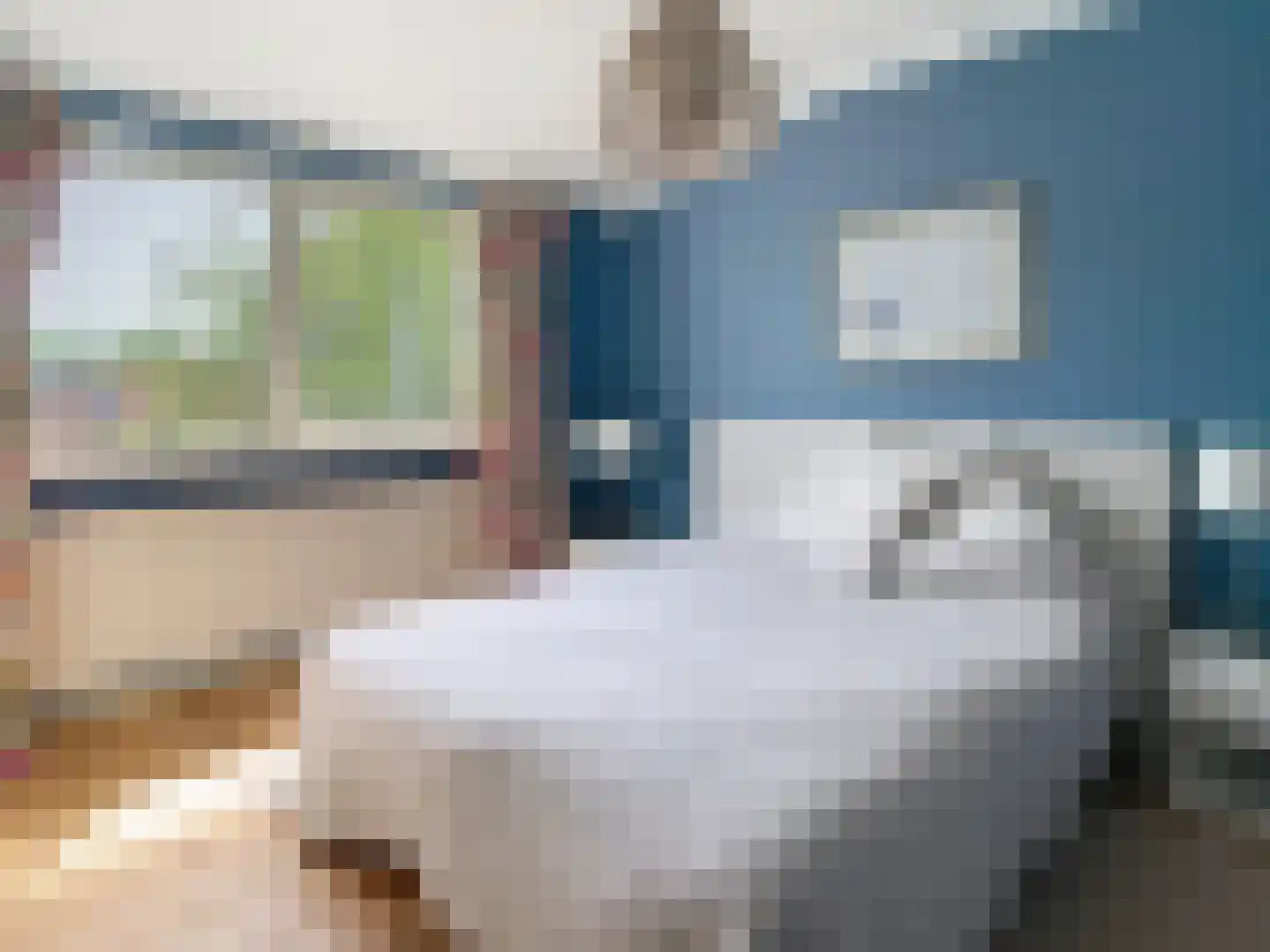 Dorpsstraat 31 Retranchement thumbnail 22