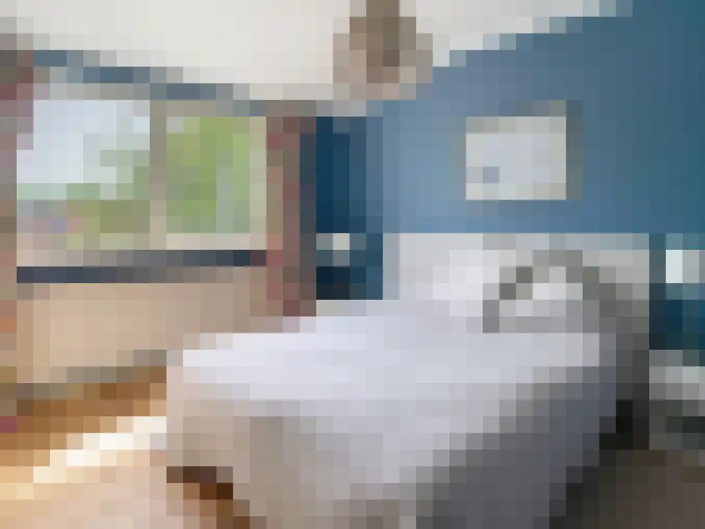 Dorpsstraat 31 Retranchement thumbnail 22
