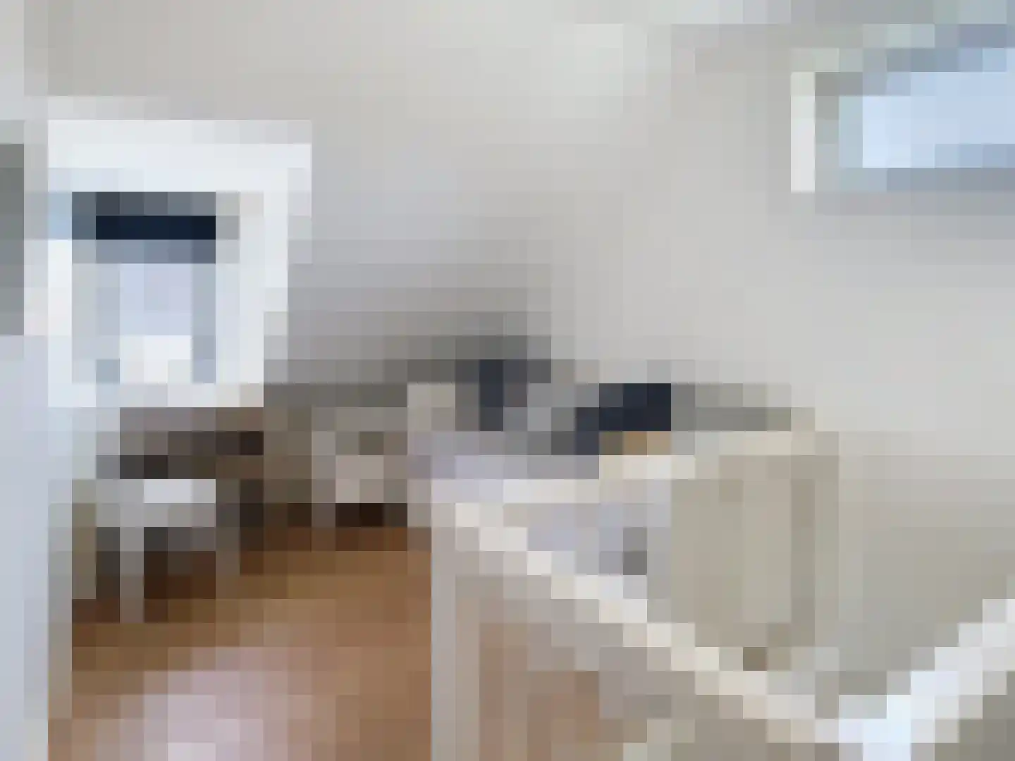 Dorpsstraat 31 Retranchement thumbnail 26