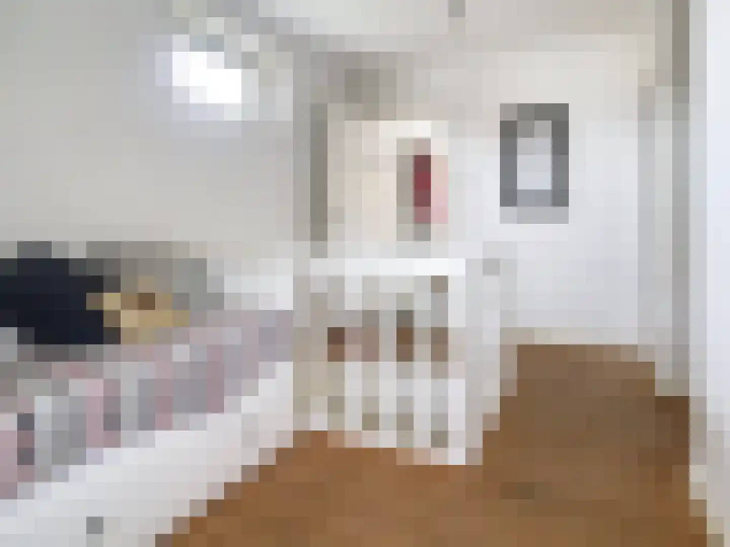Dorpsstraat 31 Retranchement thumbnail 27