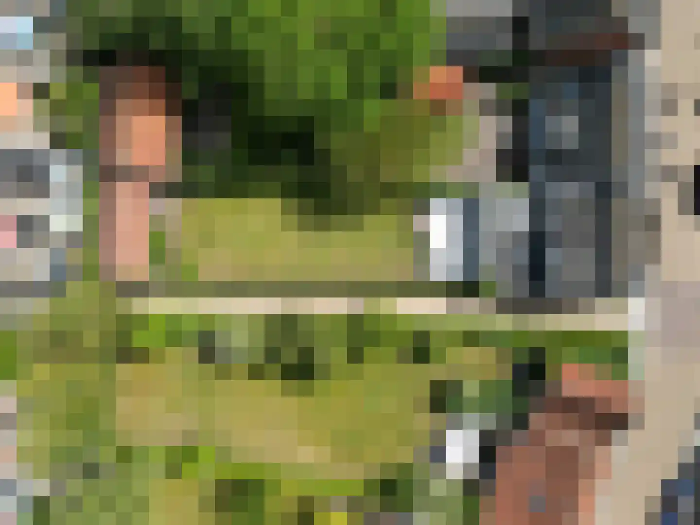 Dorpsstraat 31 Retranchement thumbnail 36