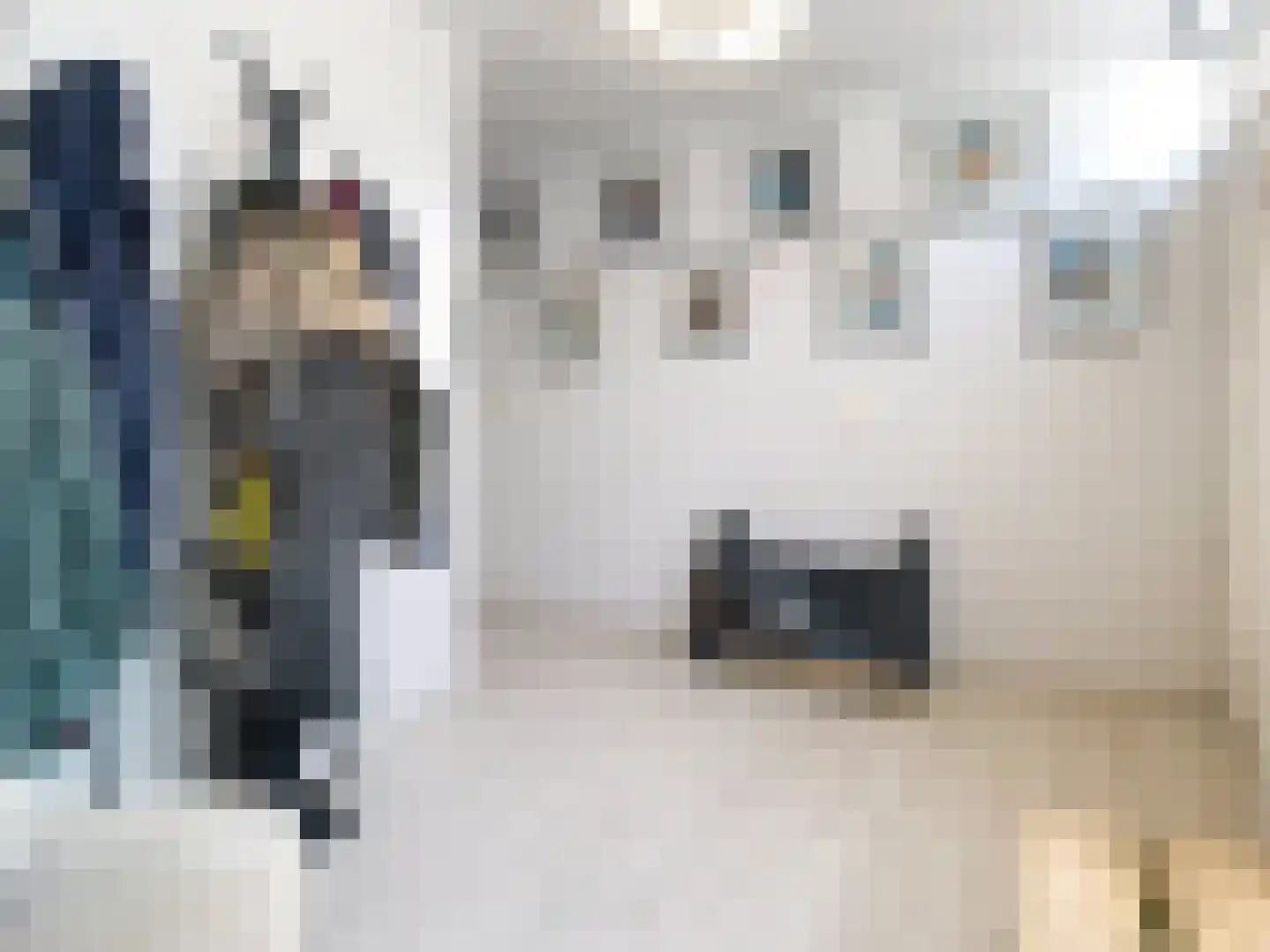 Dorpsstraat 31 Retranchement thumbnail 5