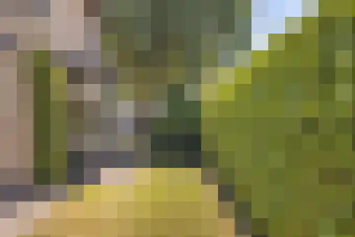 Dorpsstraat 31 Vleuten thumbnail 20