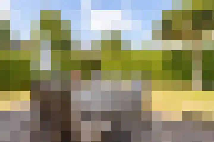 Dorpsstraat 31 Vleuten thumbnail 21