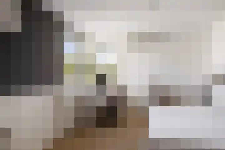 Dorpsstraat 31 Vleuten thumbnail 31