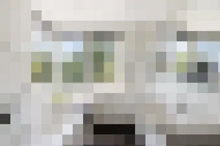 Dorpsstraat 31 Vleuten thumbnail 4