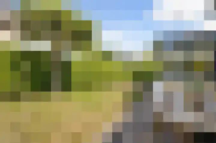 Dorpsstraat 31 Vleuten thumbnail 41