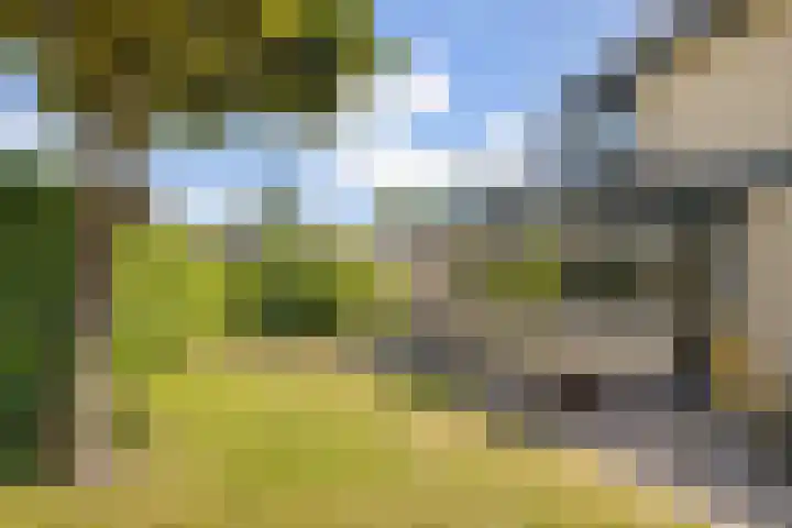 Dorpsstraat 31 Vleuten thumbnail 42