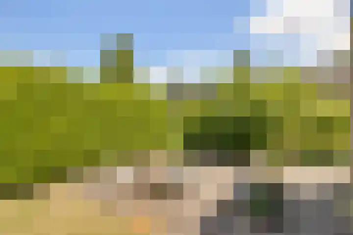 Dorpsstraat 31 Vleuten thumbnail 43