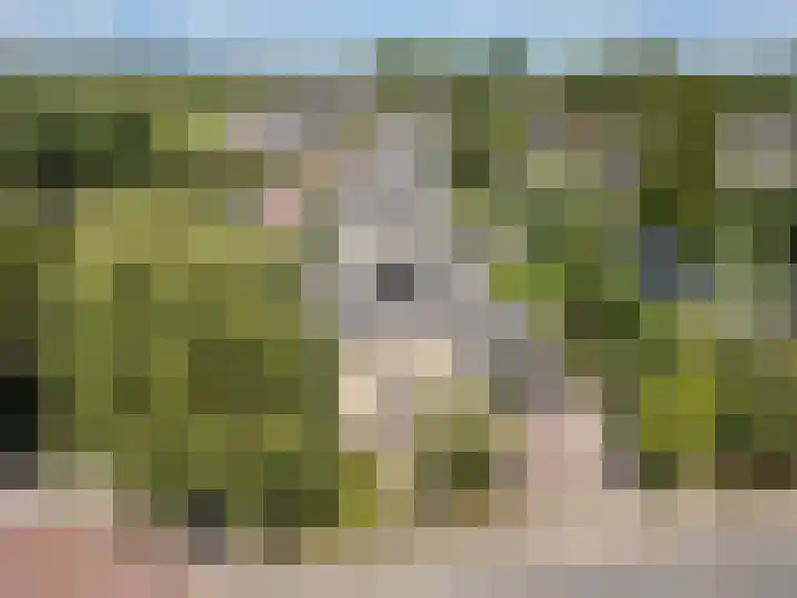 Dorpsstraat 31 Vleuten thumbnail 53