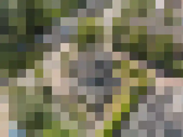 Dorpsstraat 31 Vleuten thumbnail 56
