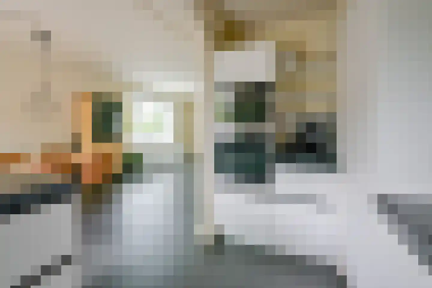 Dorpsstraat 312 Zuid-Scharwoude thumbnail 16