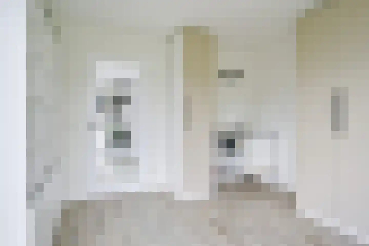 Dorpsstraat 312 Zuid-Scharwoude thumbnail 28