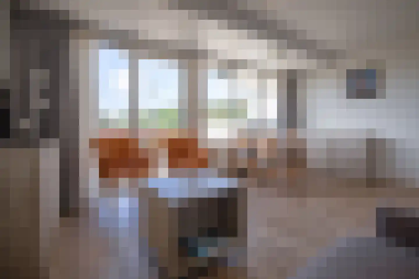 Dorpsstraat 315 De Koog thumbnail 5