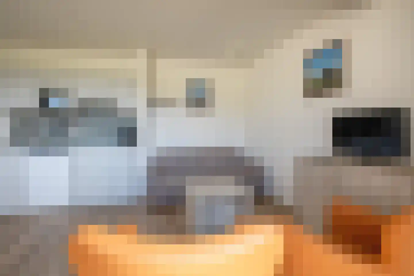 Dorpsstraat 315 De Koog thumbnail 6