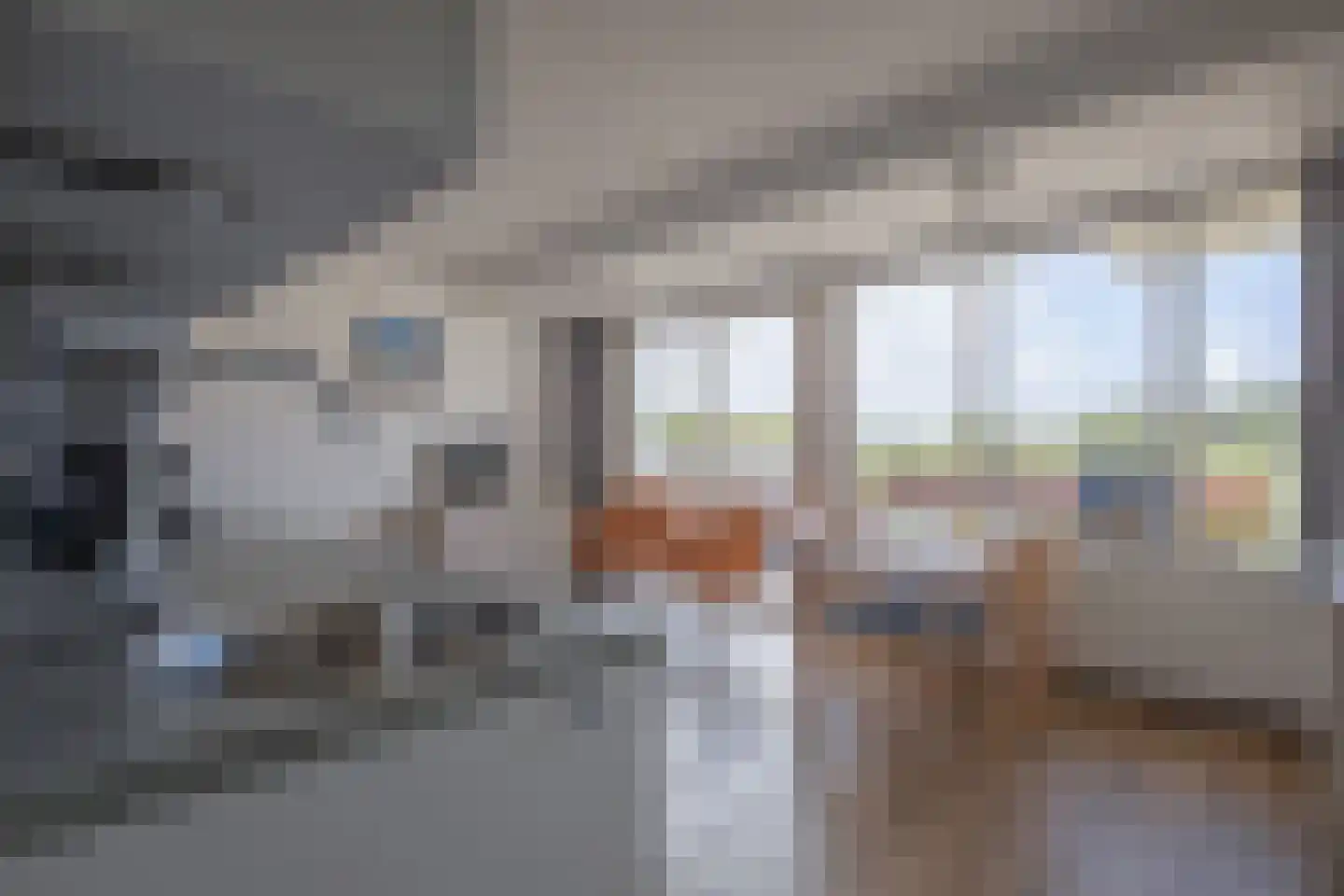 Dorpsstraat 315 De Koog thumbnail 8