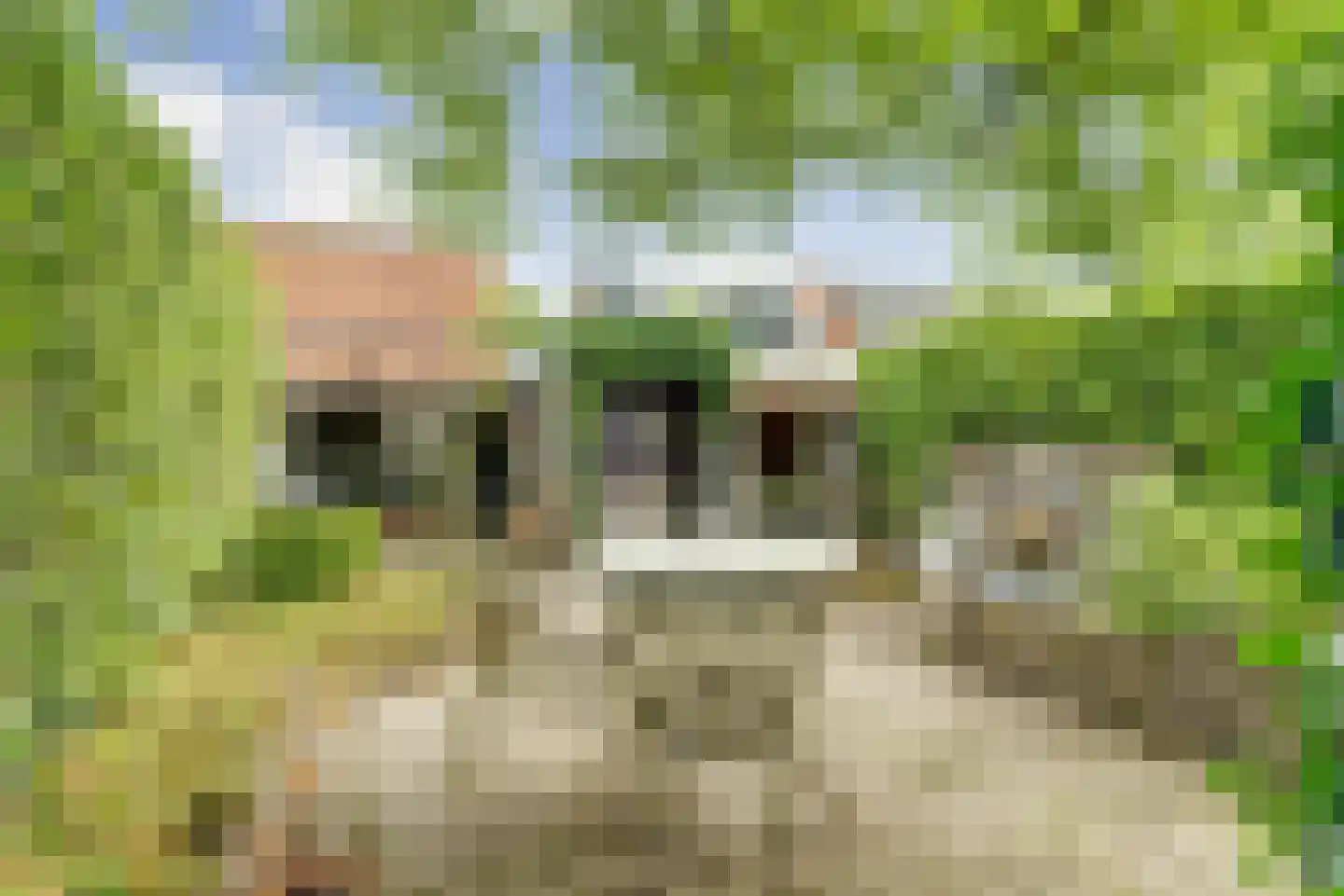 Dorpsstraat 32 a Renswoude thumbnail 19