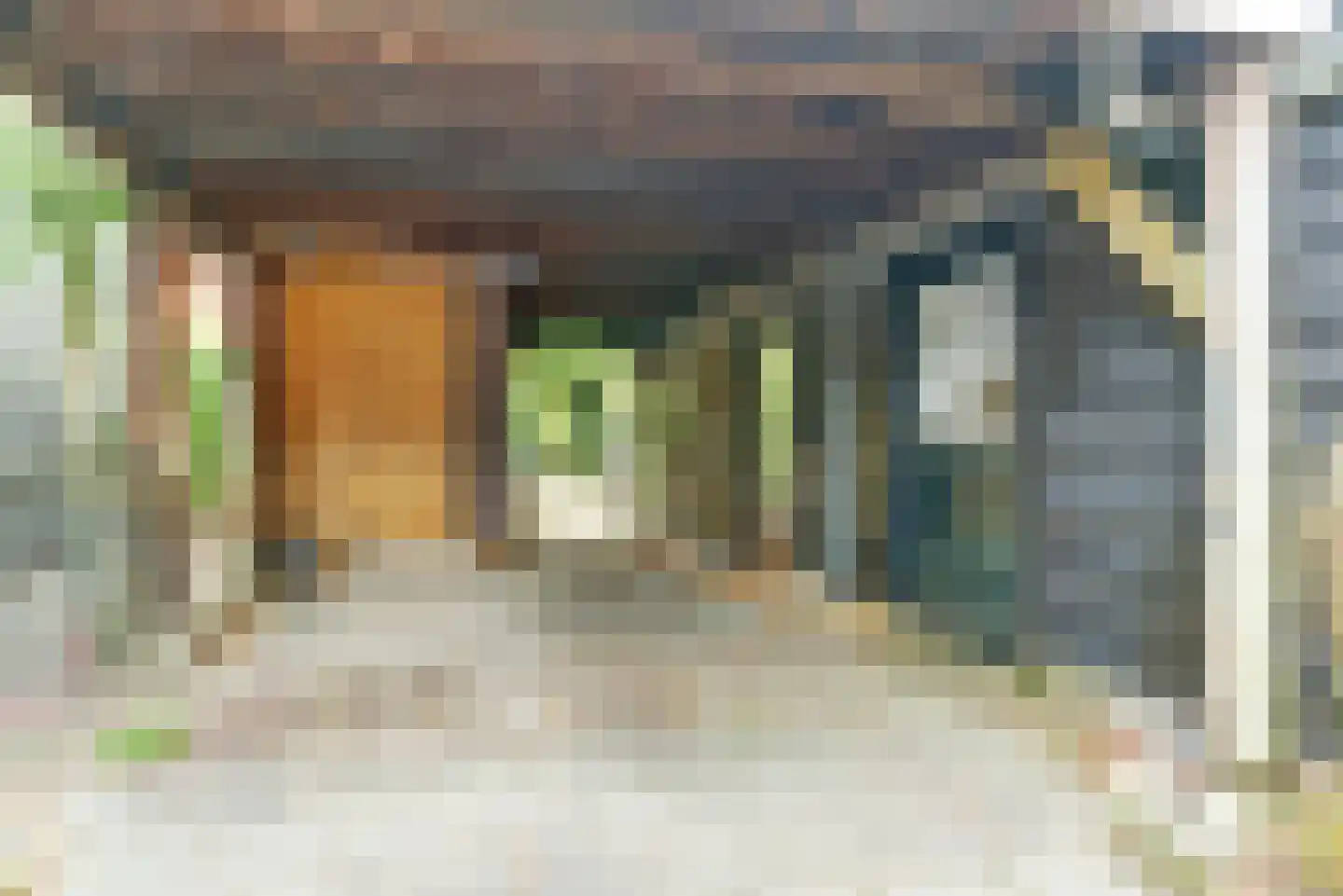 Dorpsstraat 32 a Renswoude thumbnail 26