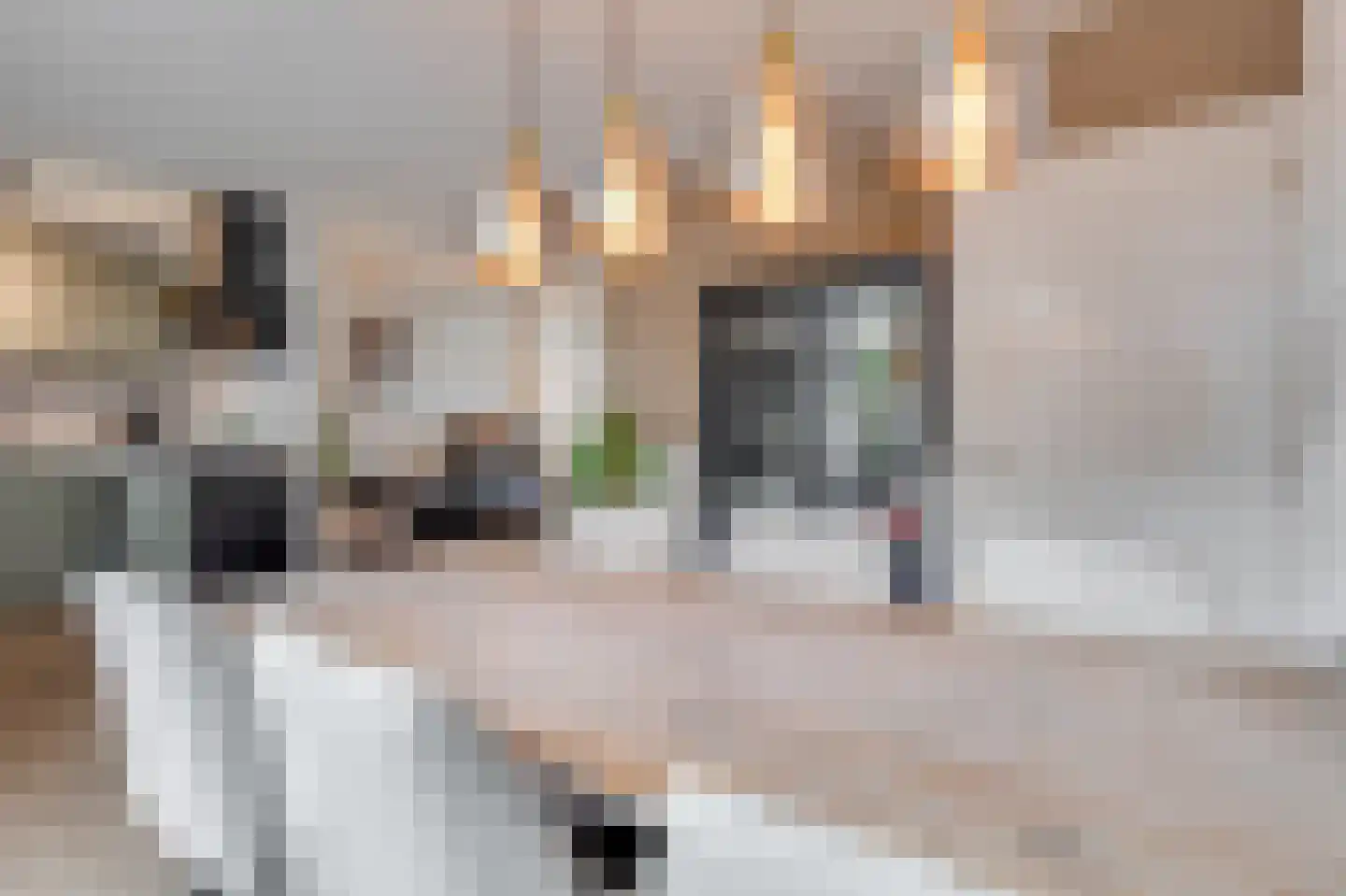 Dorpsstraat 32 Broek op Langedijk thumbnail 11