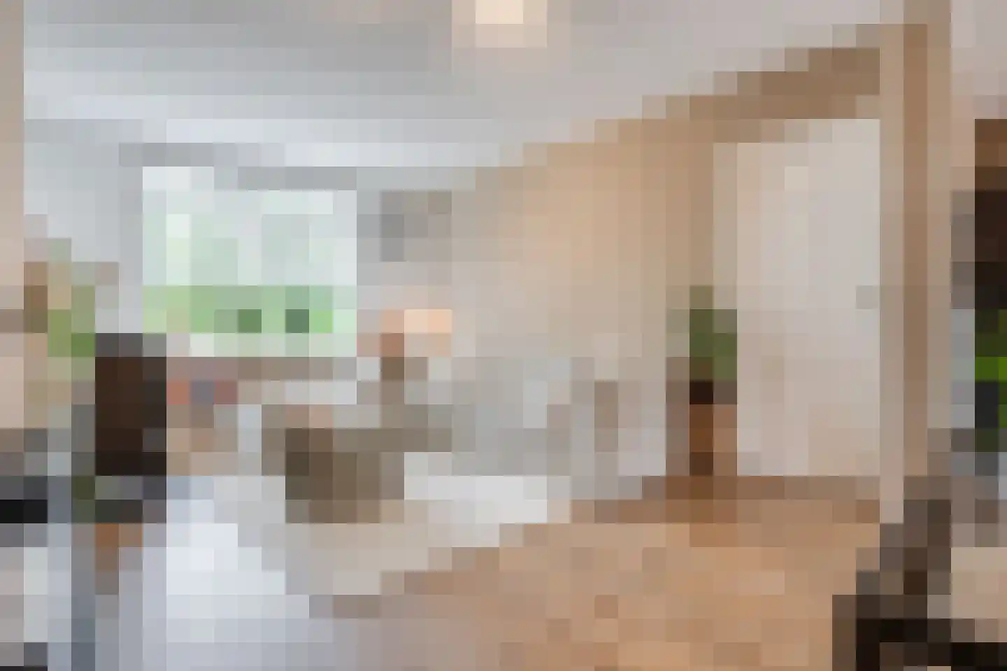 Dorpsstraat 32 Broek op Langedijk thumbnail 4