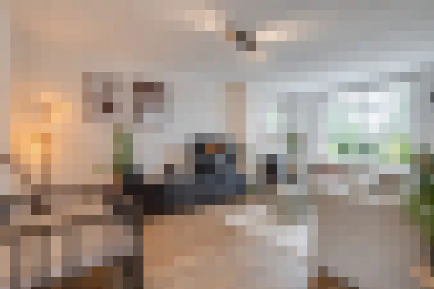 Dorpsstraat 32 Broek op Langedijk thumbnail 5