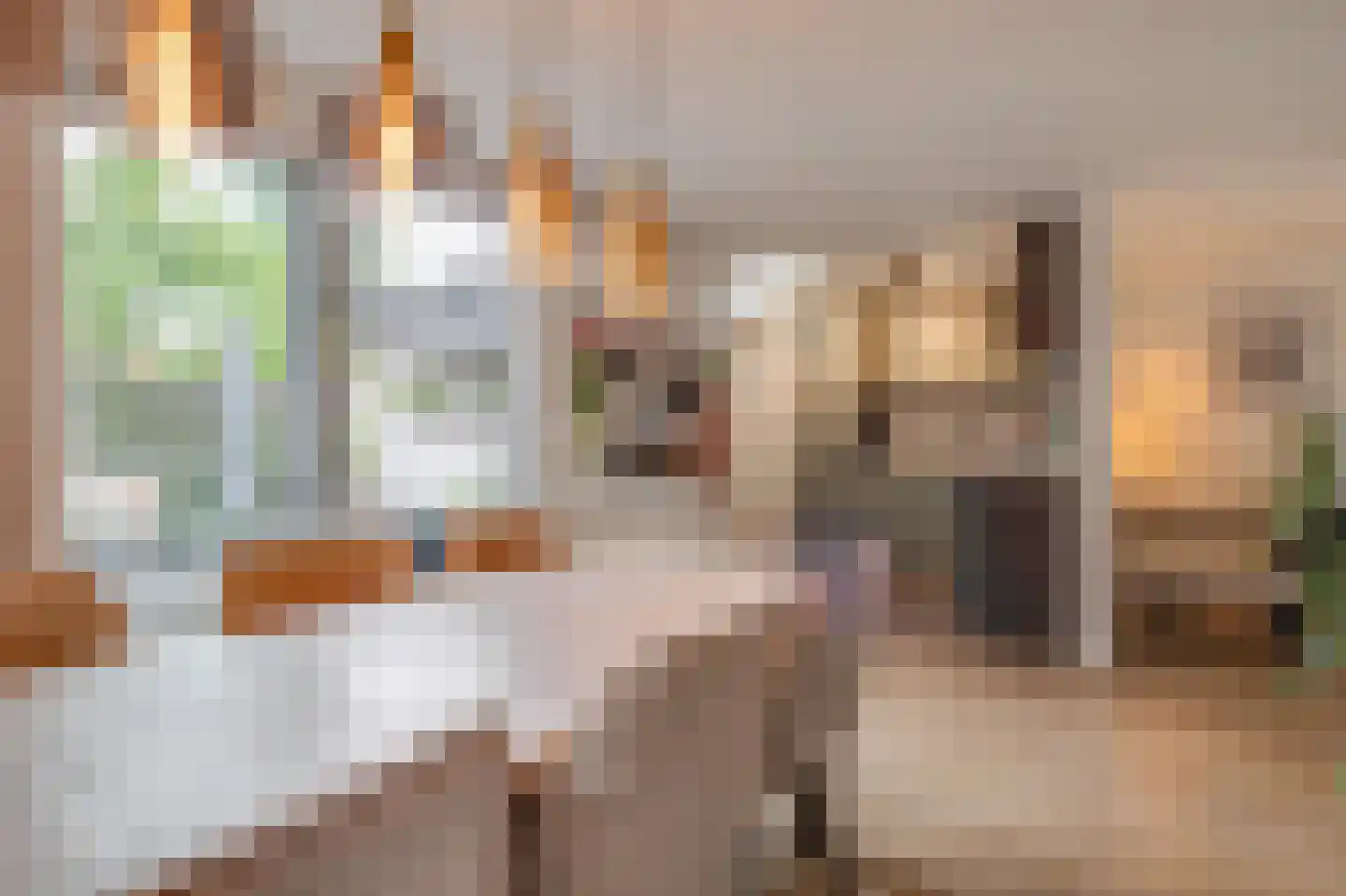 Dorpsstraat 32 Broek op Langedijk thumbnail 6