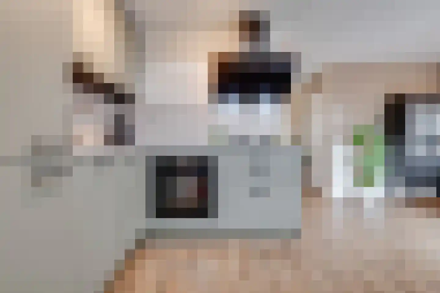 Dorpsstraat 32 Broek op Langedijk thumbnail 7