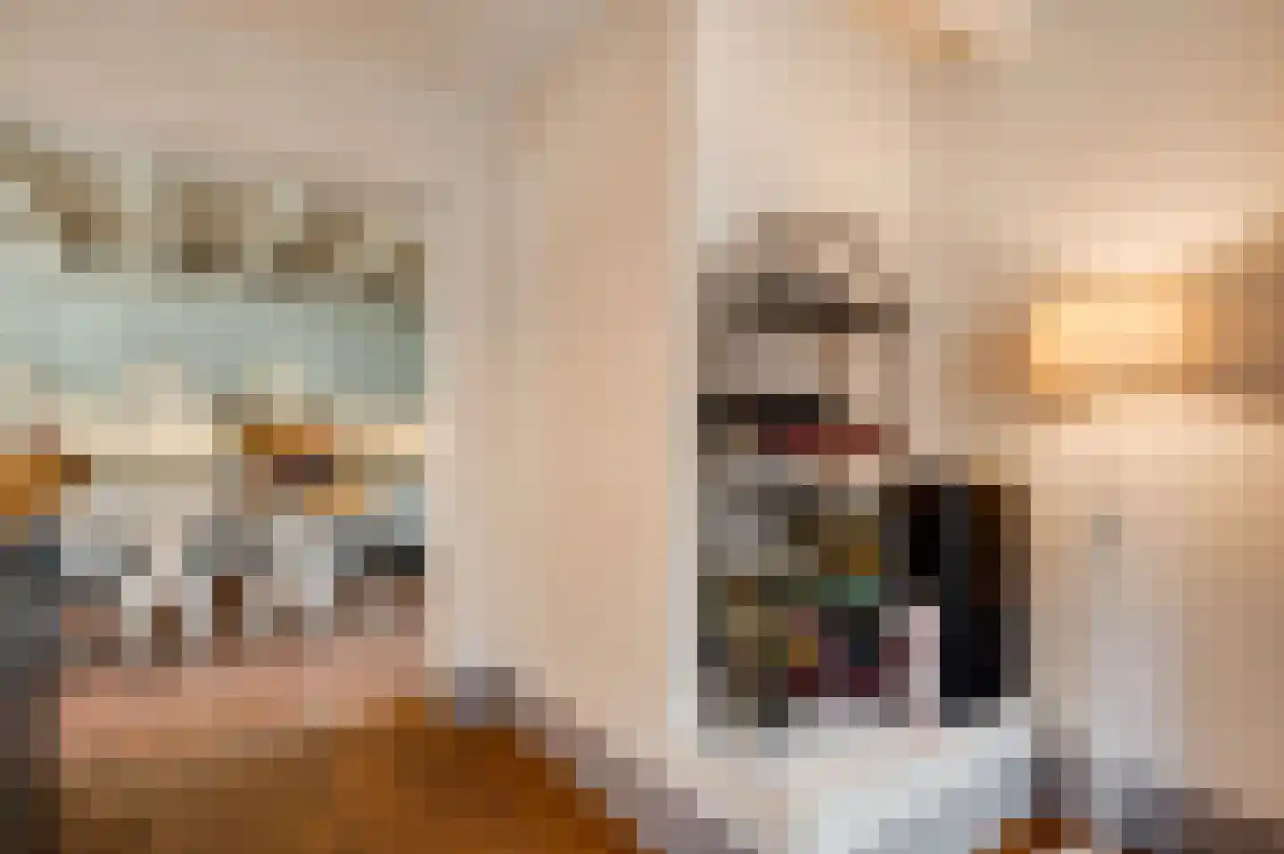 Dorpsstraat 32 Buggenum thumbnail 10