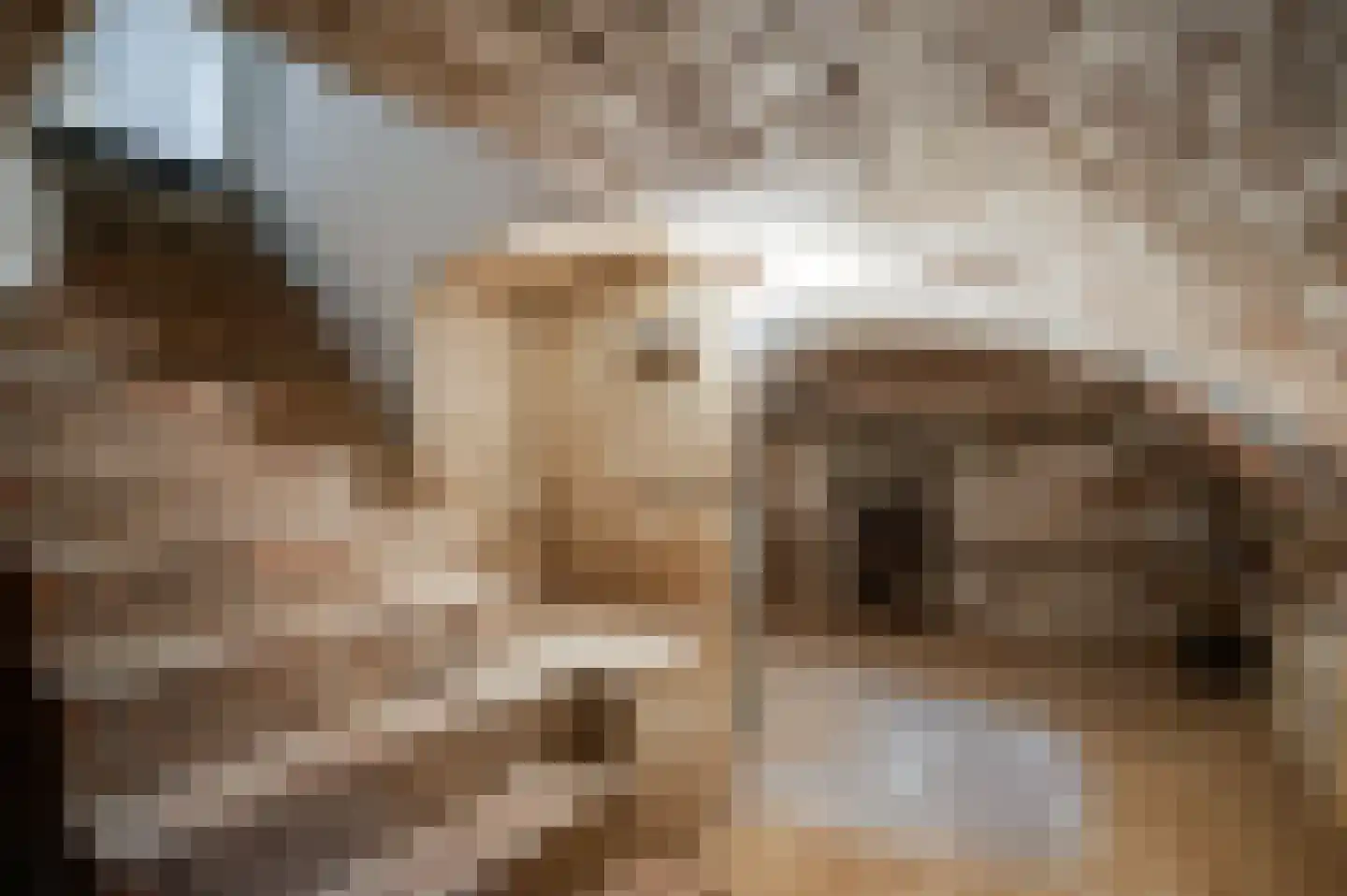 Dorpsstraat 32 Buggenum thumbnail 11