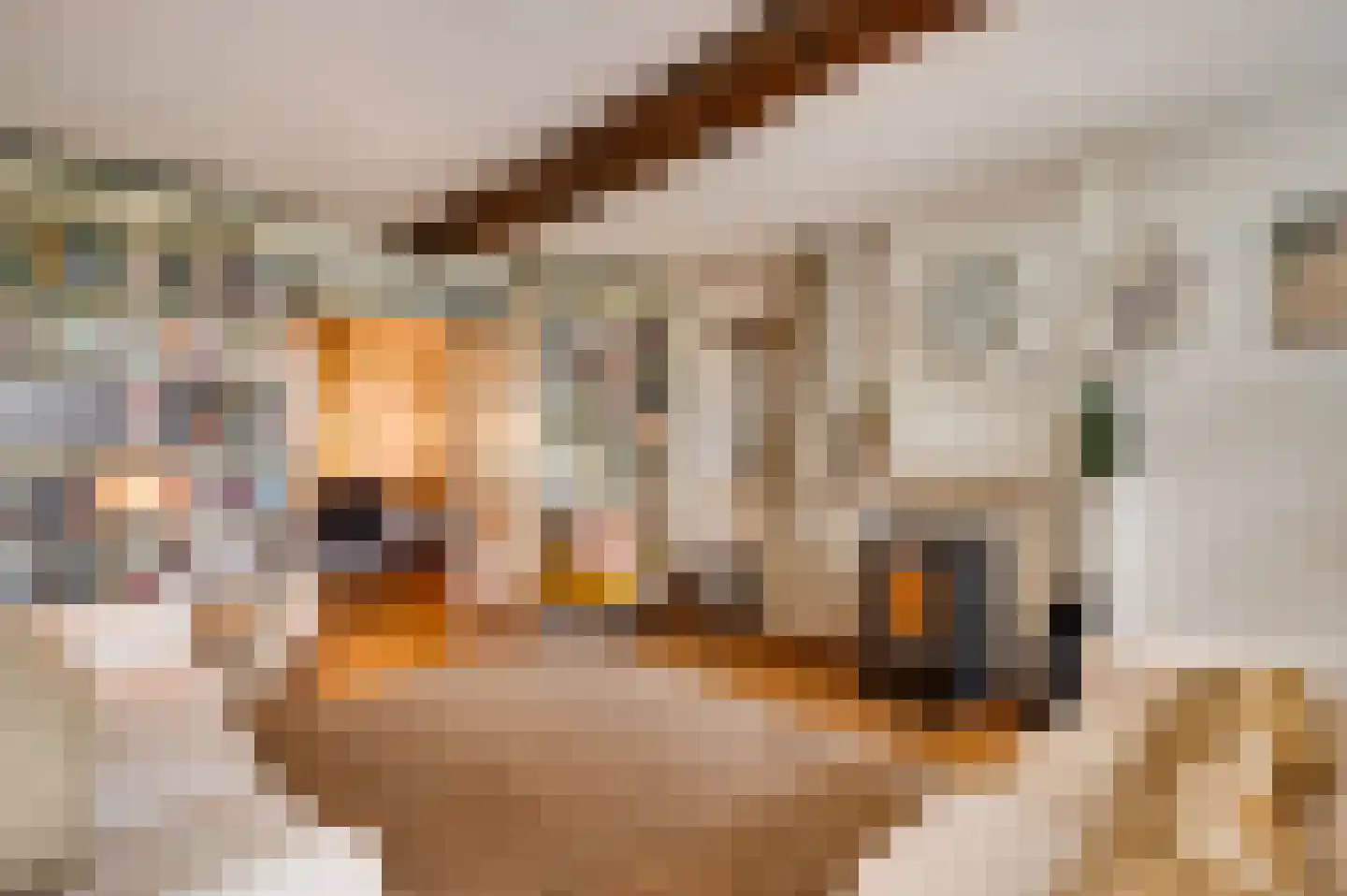 Dorpsstraat 32 Buggenum thumbnail 14