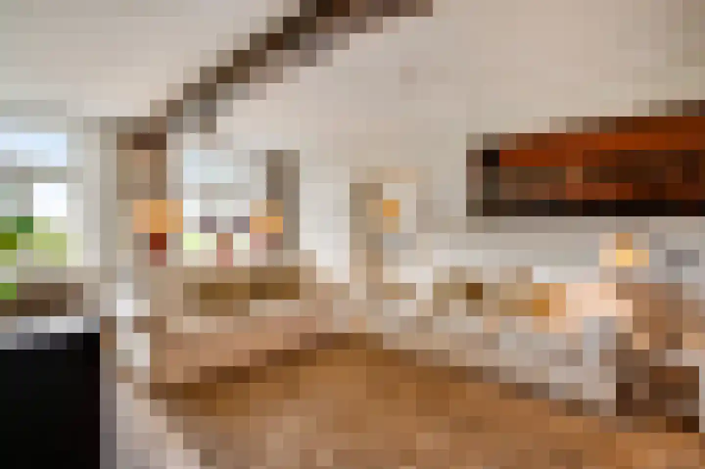 Dorpsstraat 32 Buggenum thumbnail 16