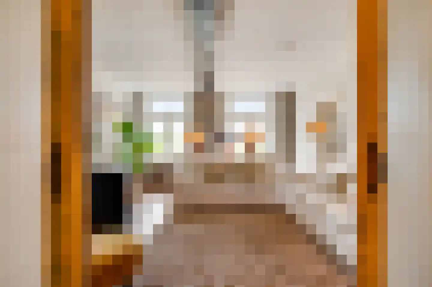 Dorpsstraat 32 Buggenum thumbnail 17