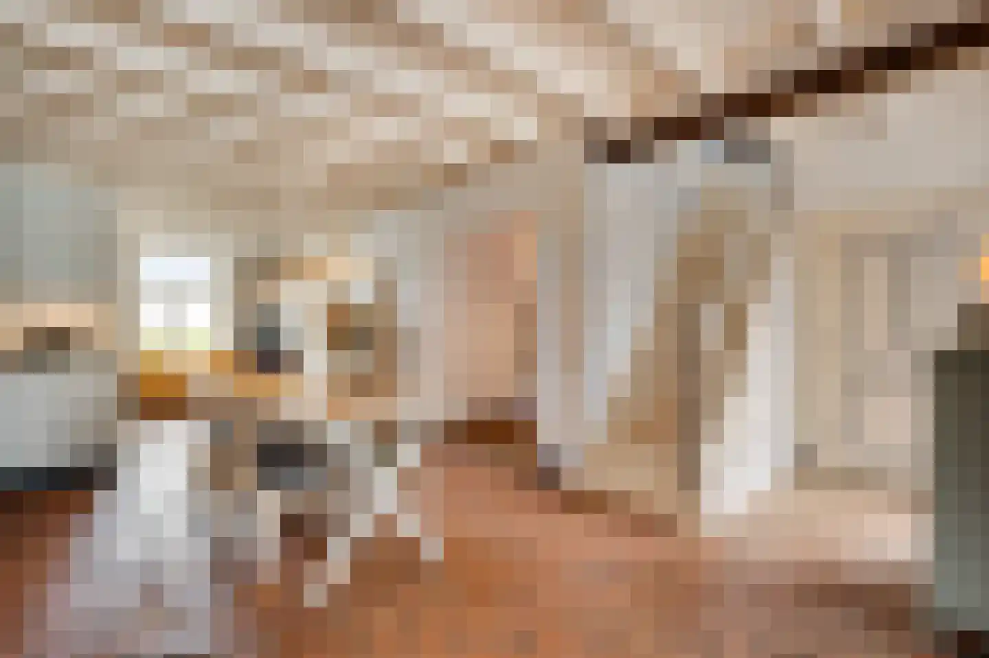 Dorpsstraat 32 Buggenum thumbnail 22