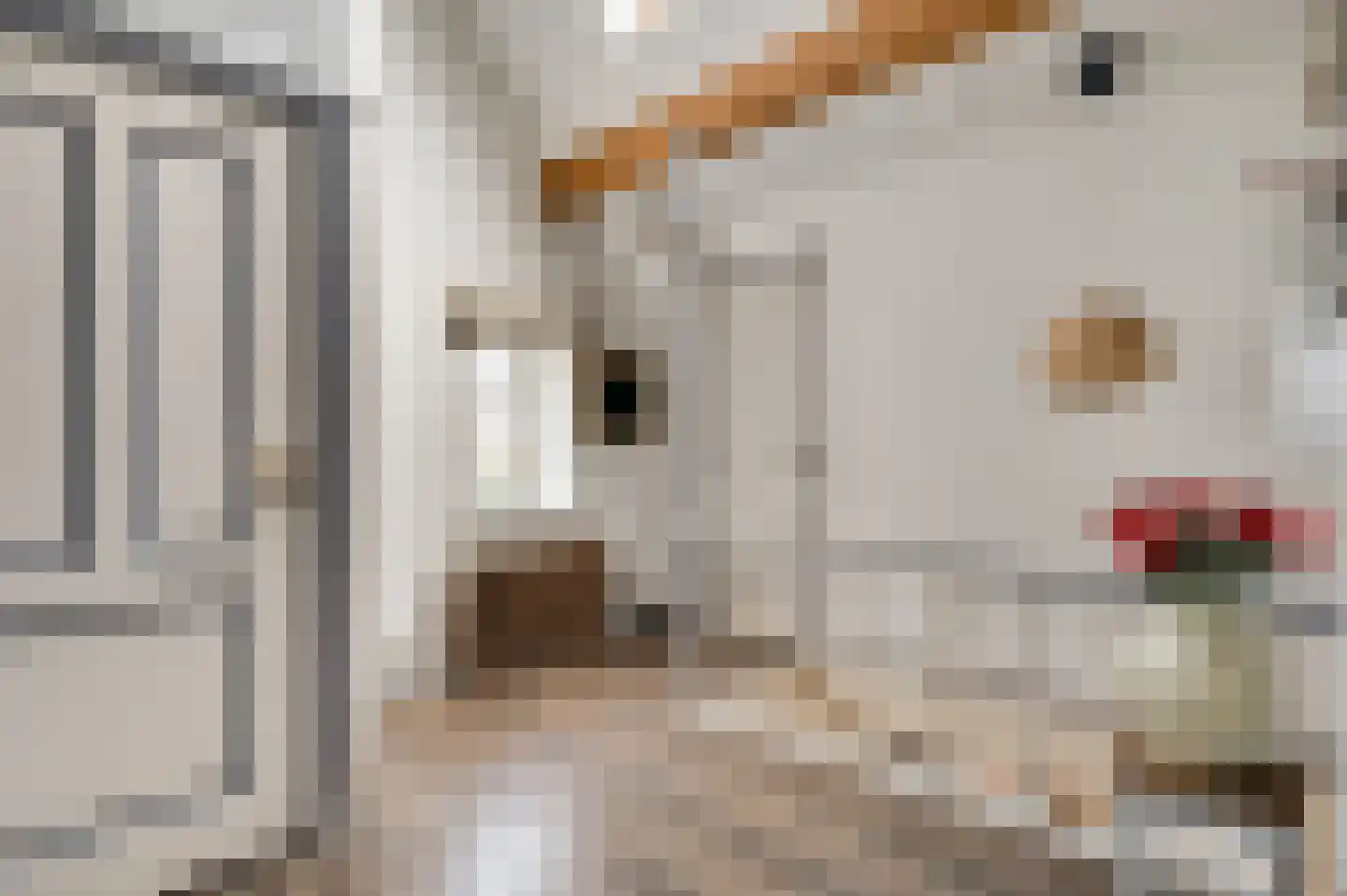 Dorpsstraat 32 Buggenum thumbnail 23