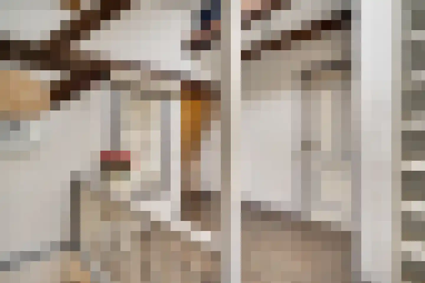 Dorpsstraat 32 Buggenum thumbnail 24