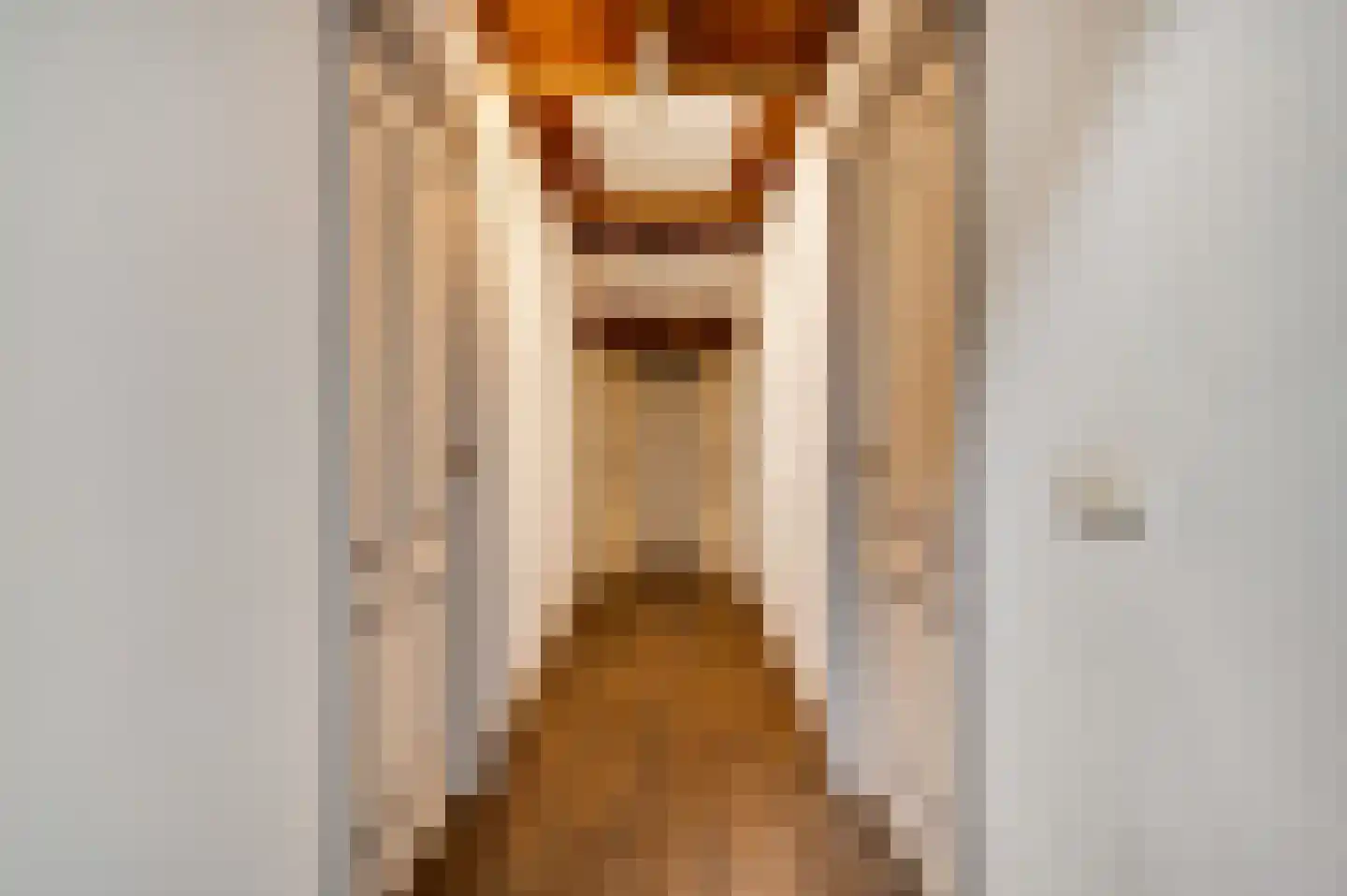 Dorpsstraat 32 Buggenum thumbnail 25
