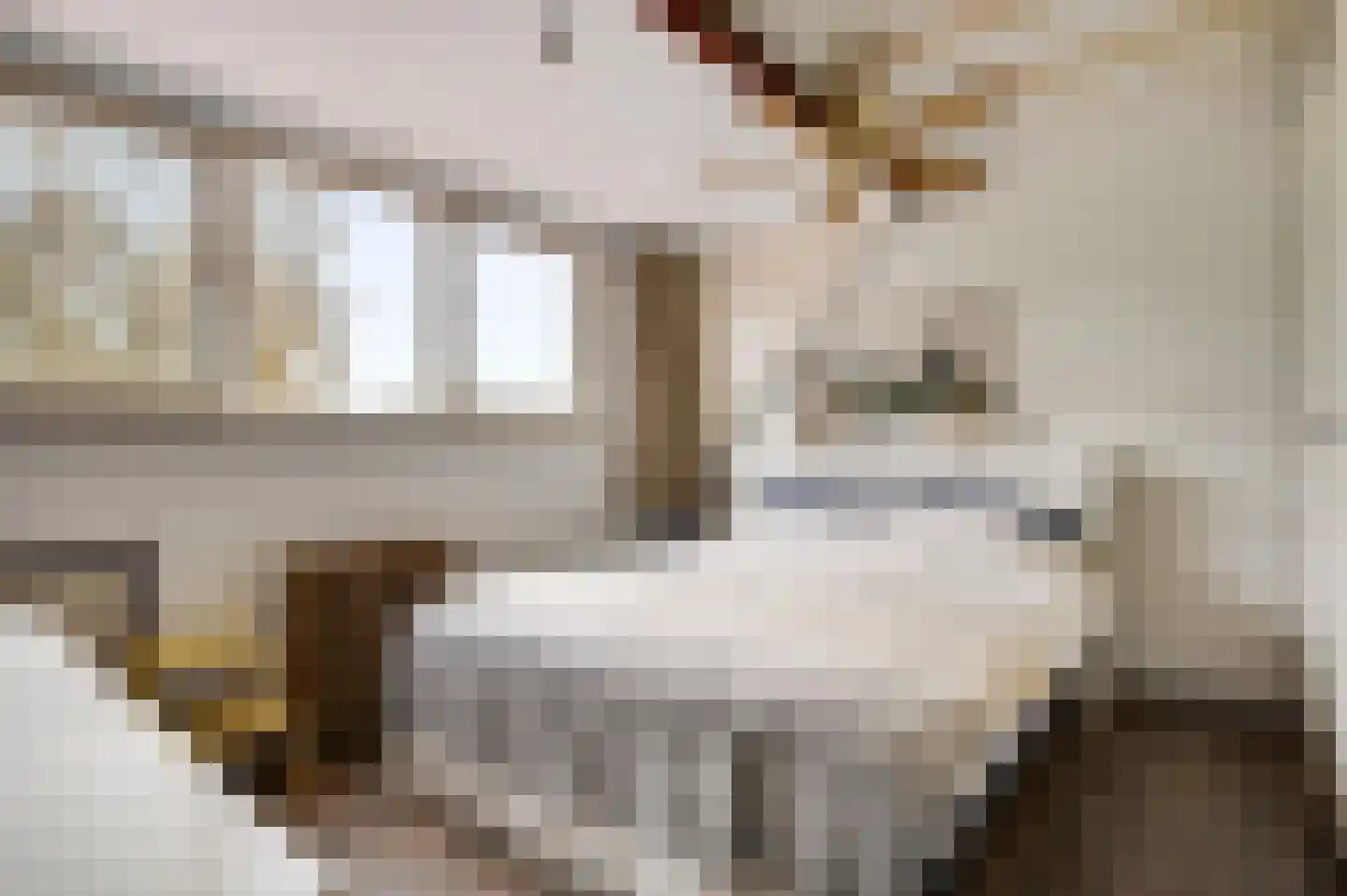 Dorpsstraat 32 Buggenum thumbnail 26