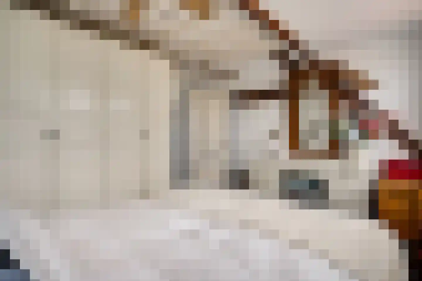 Dorpsstraat 32 Buggenum thumbnail 27