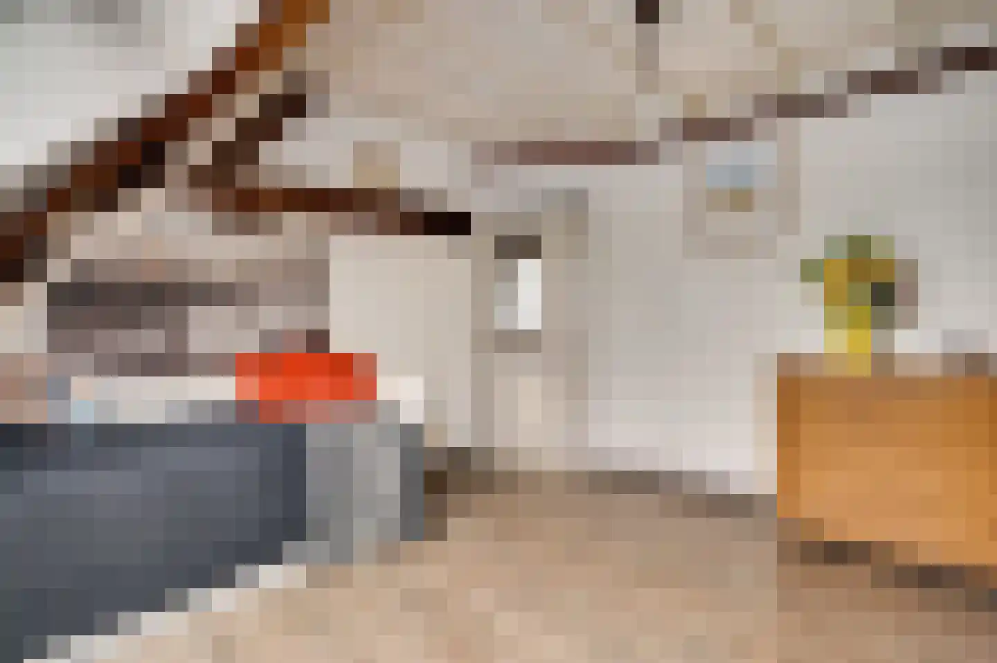 Dorpsstraat 32 Buggenum thumbnail 29